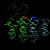 Spontaneous self-assembly of engineered armadillo repeat protein fragments into a folded structure